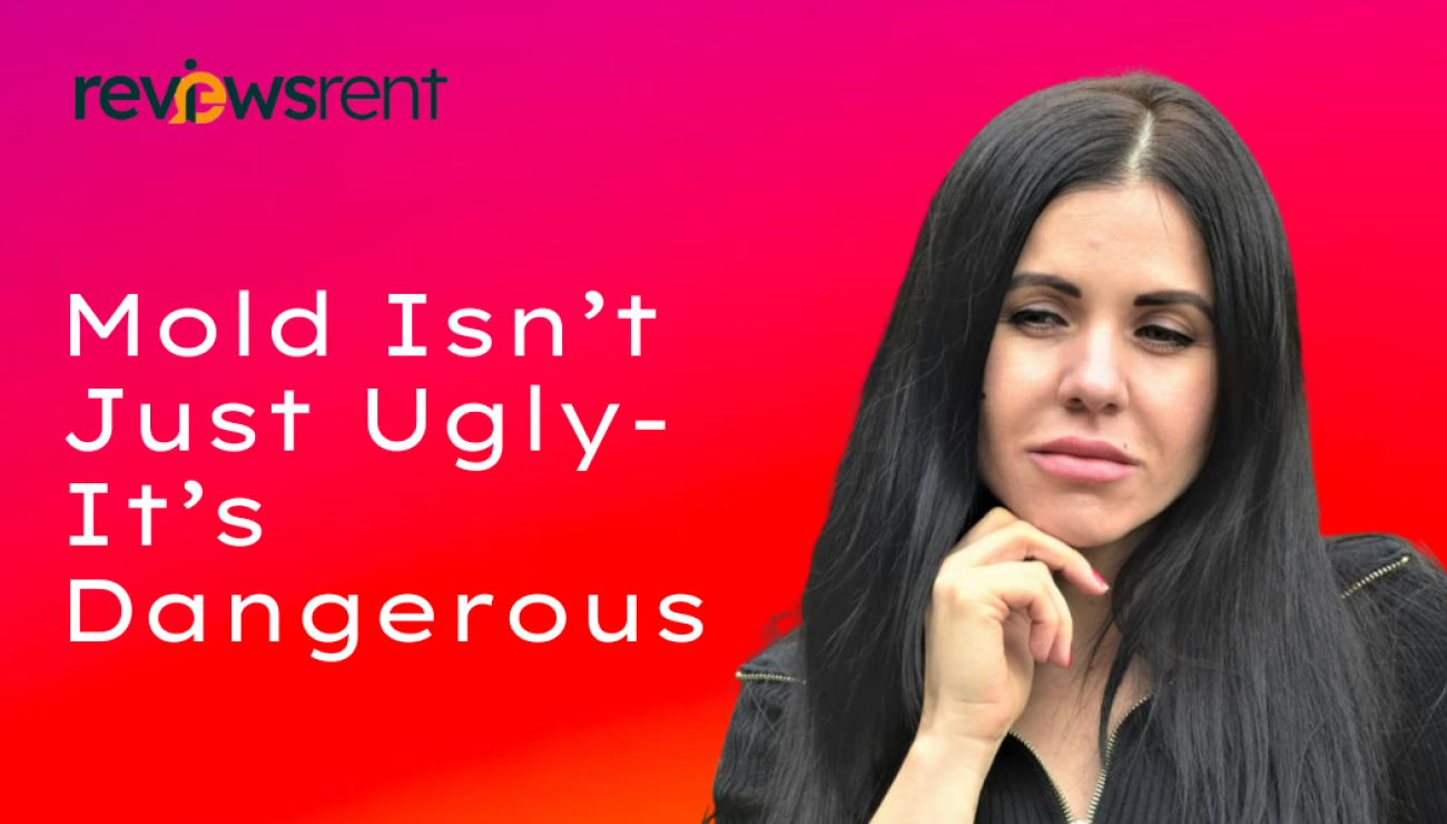 Mold Isn’t Just Ugly — It’s Dangerous