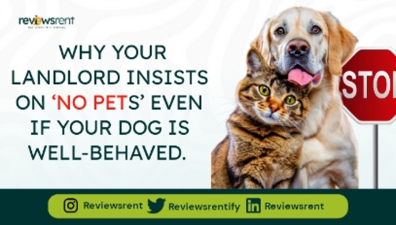 Why Your Landlord Insists On ‘No Pets’ Even If Your Dog Is Well-Behaved.
